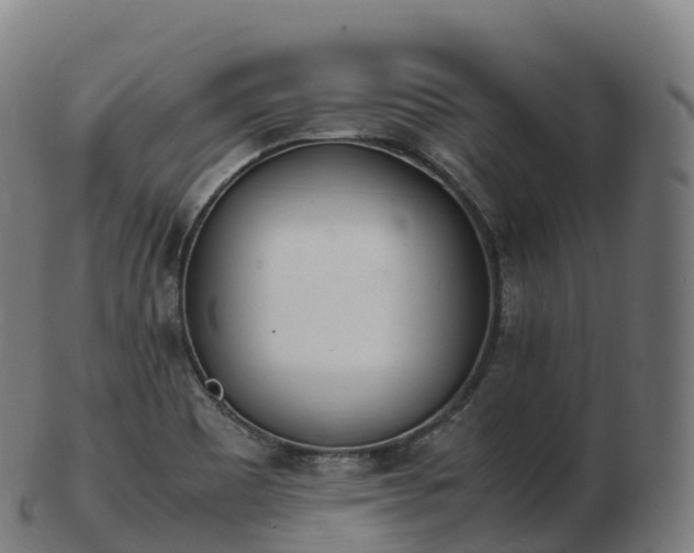 X0000103331465200809121159