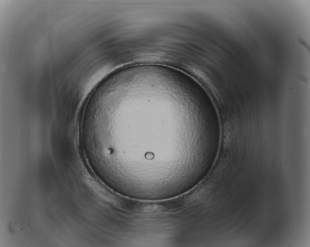 X0000103331467200809121159