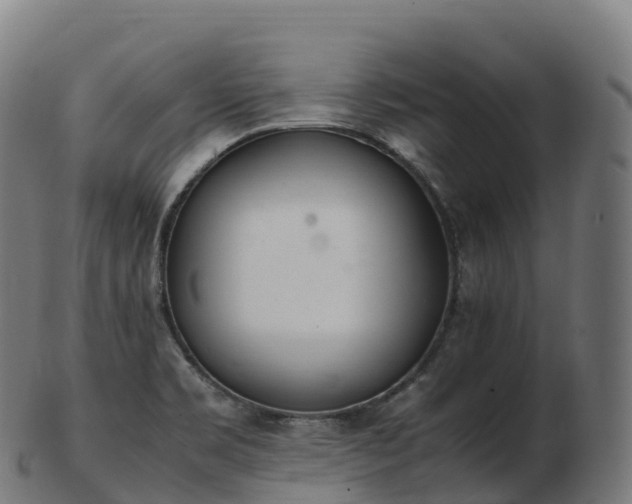 X0000103331469200809121159