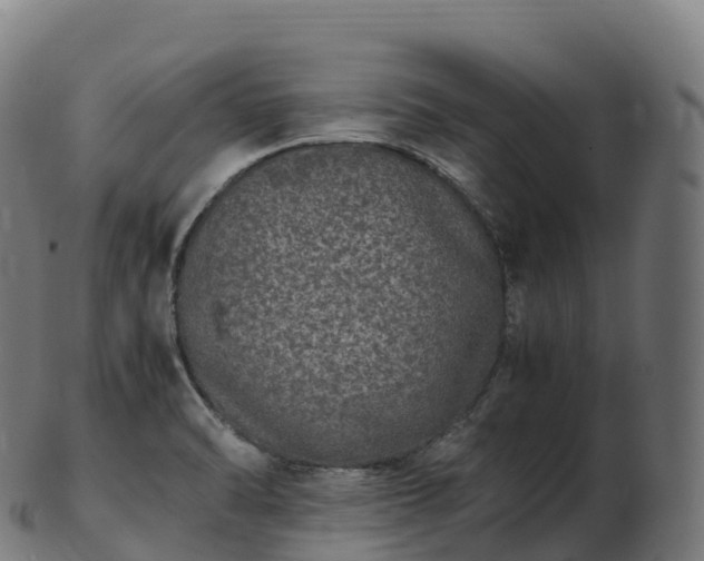 X0000103331470200809121159