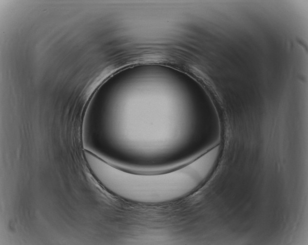 X0000103331473200809121159