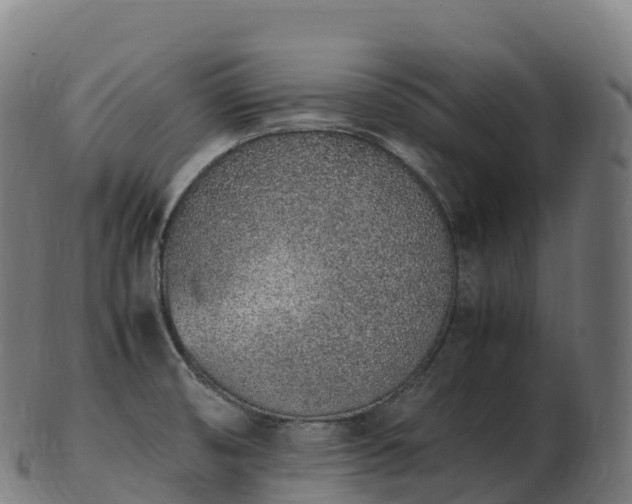 X0000103331474200809121159