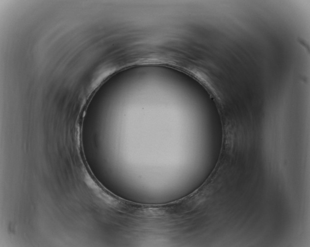 X0000103331476200809121159