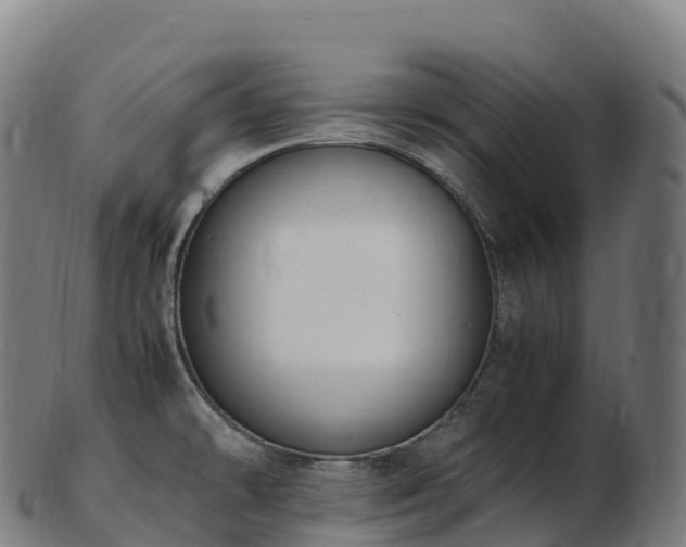 X0000103331478200809121159