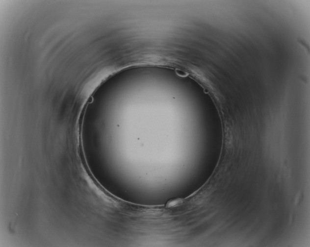 X0000103331479200809121159