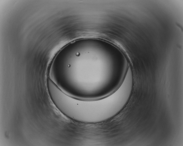 X0000103331480200809121159