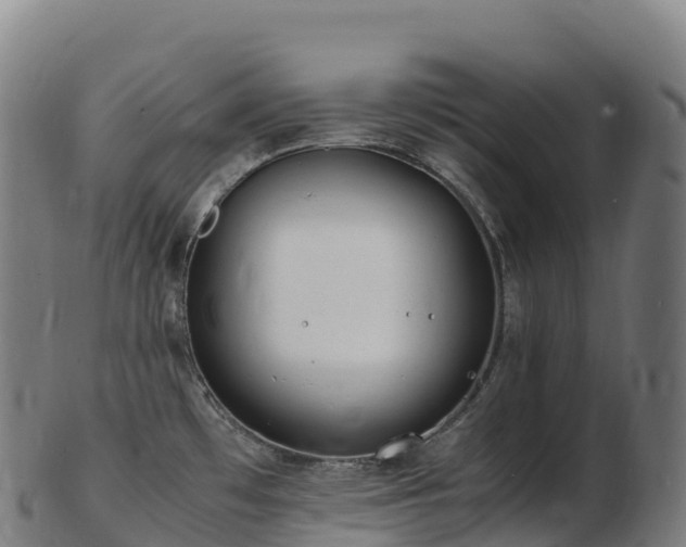 X0000103331481200809121159