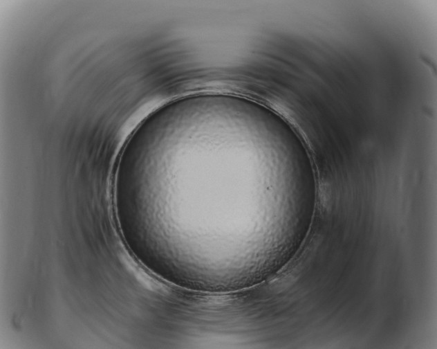 X0000103331482200809121159