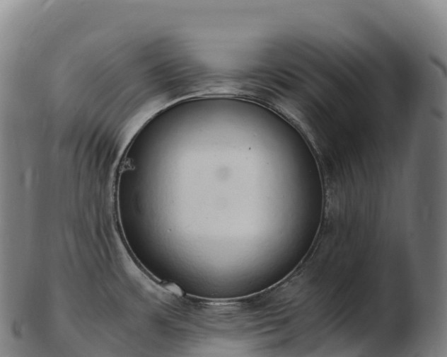 X0000103331483200809121159