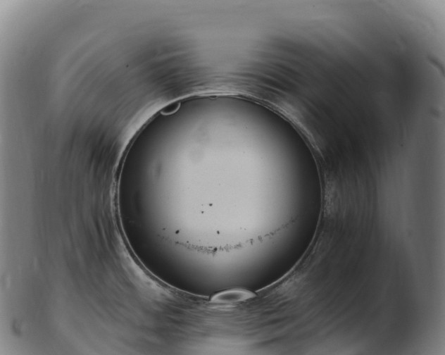 X0000103331484200809121159