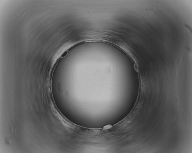 X0000103331485200809121159