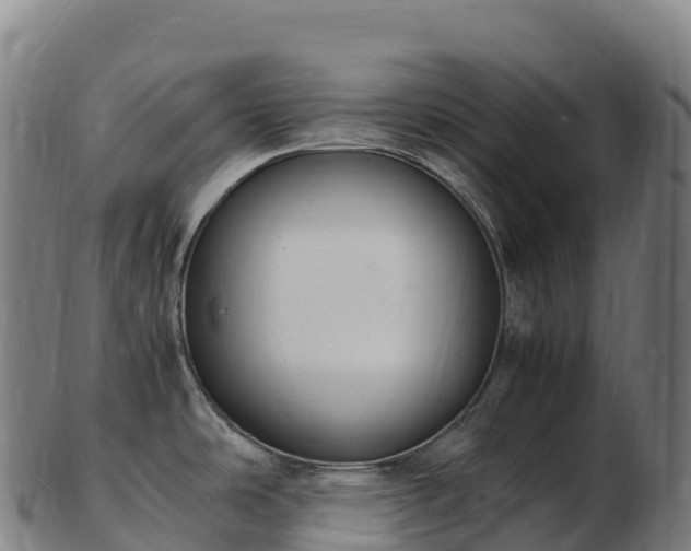 X0000103331486200809121159