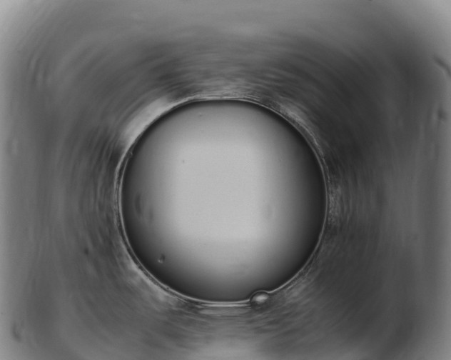 X0000103331487200809121159