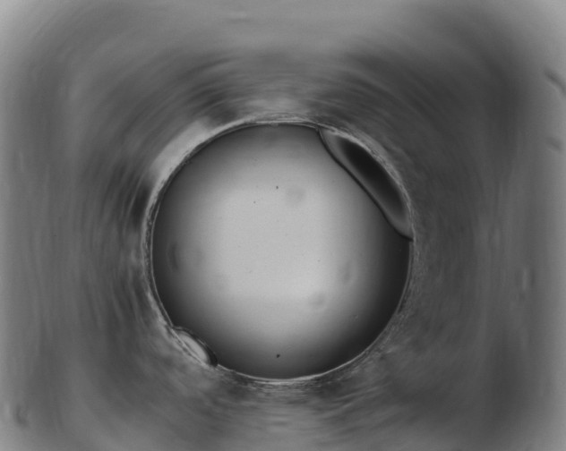 X0000103331488200809121159