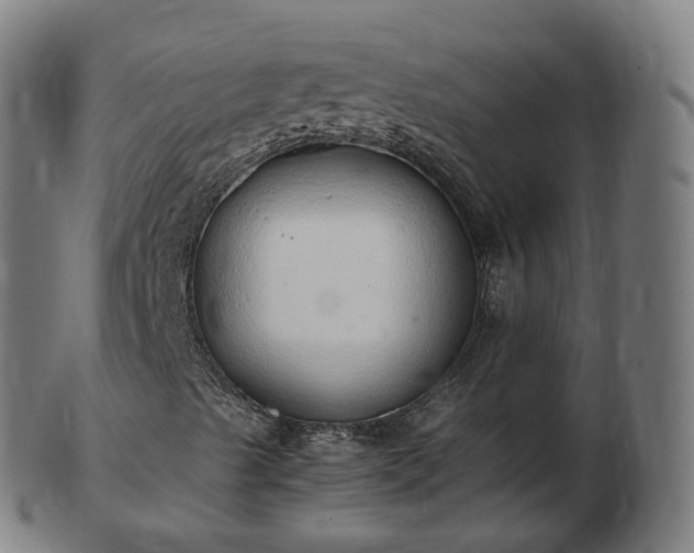 X0000103331489200809121158