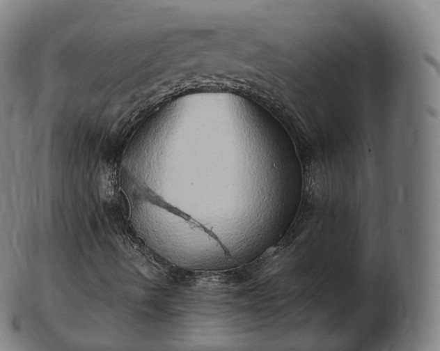 X0000103331490200809121158