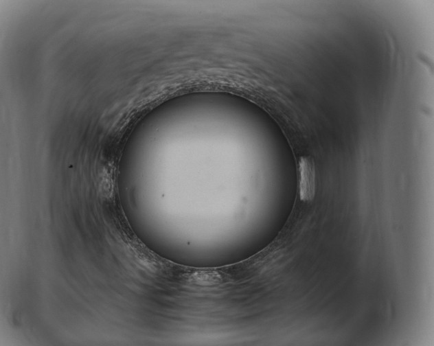 X0000103331491200809121158