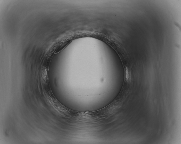 X0000103331492200809121158