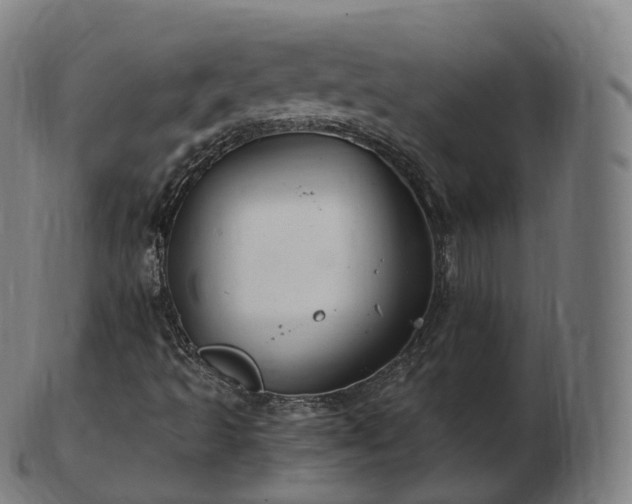 X0000103331493200809121158