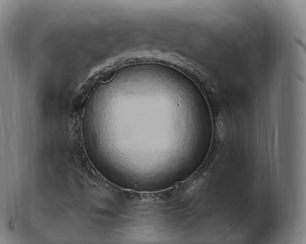 X0000103331494200809121158