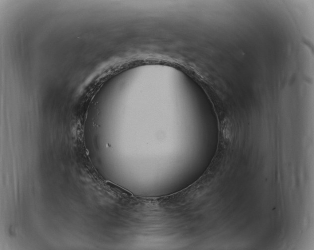 X0000103331495200809121158