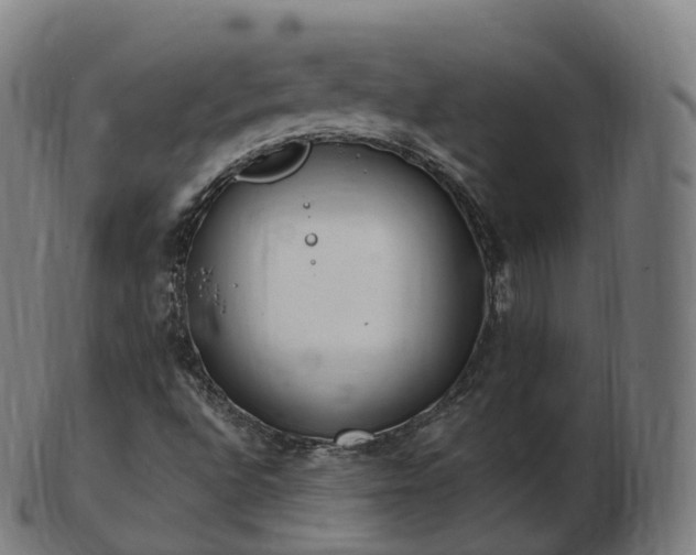 X0000103331496200809121158