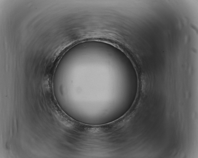 X0000103331497200809121158