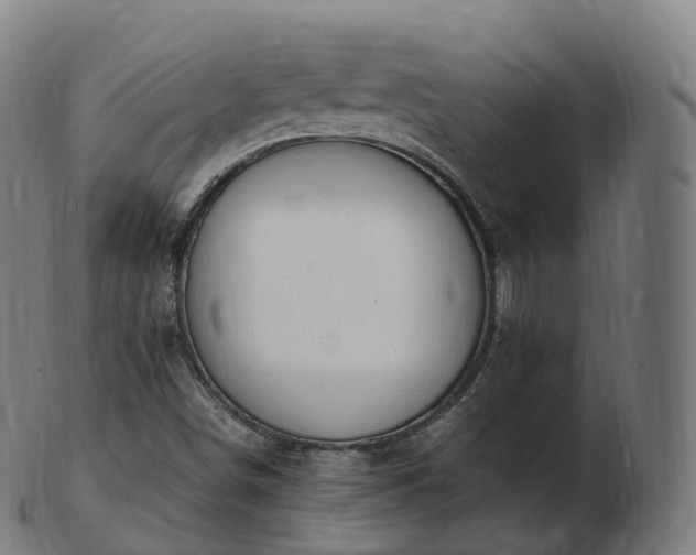 X0000103331498200809121158