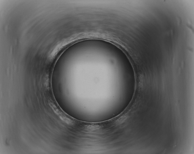 X0000103331499200809121158