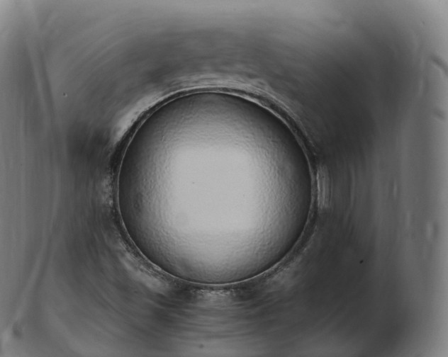 X0000103331501200809121159