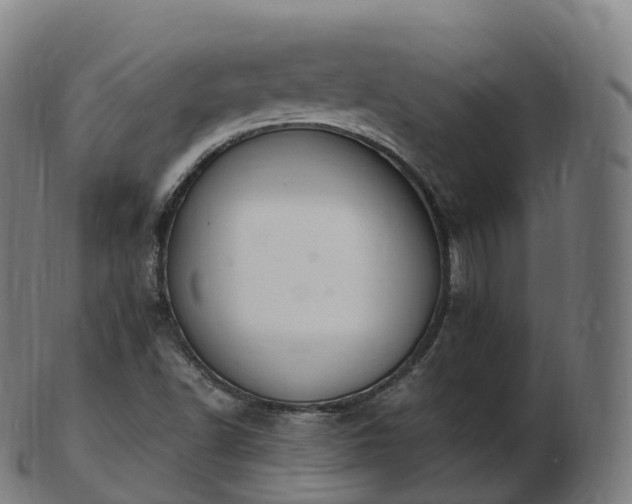 X0000103331502200809121159