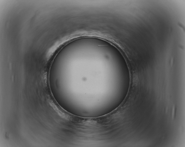 X0000103331503200809121159