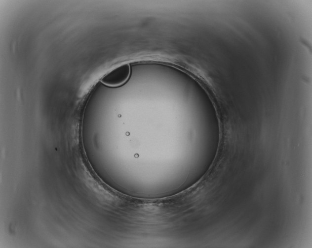 X0000103331504200809121159