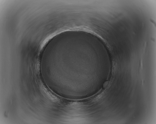 X0000103331506200809121159