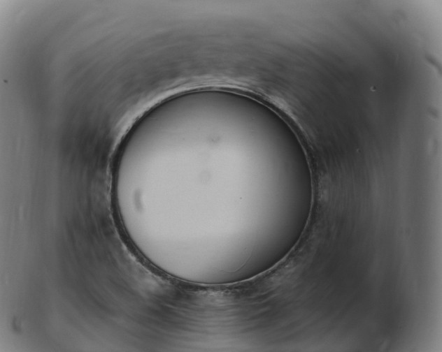 X0000103331508200809121159