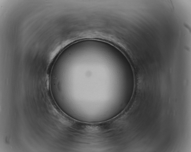 X0000103331509200809121159