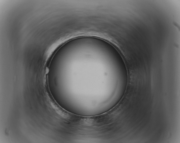 X0000103331511200809121159