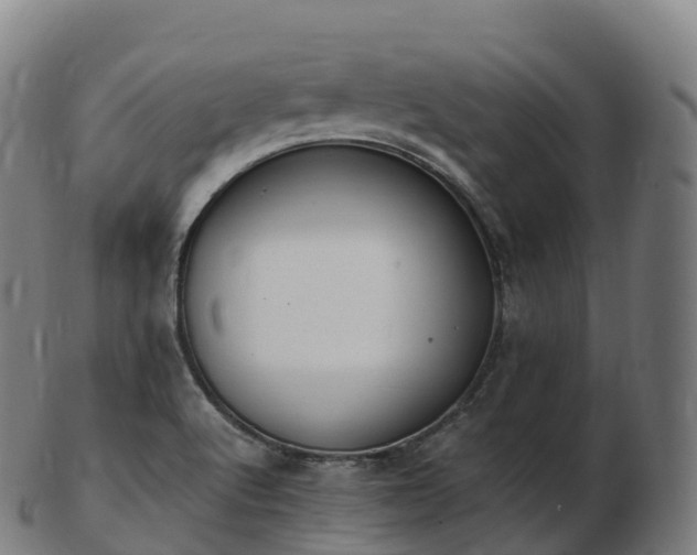 X0000103331512200809121159