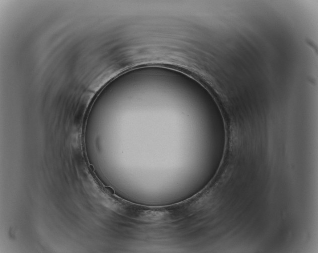 X0000103331513200809121159