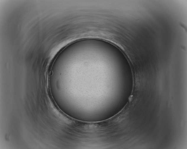 X0000103331515200809121159