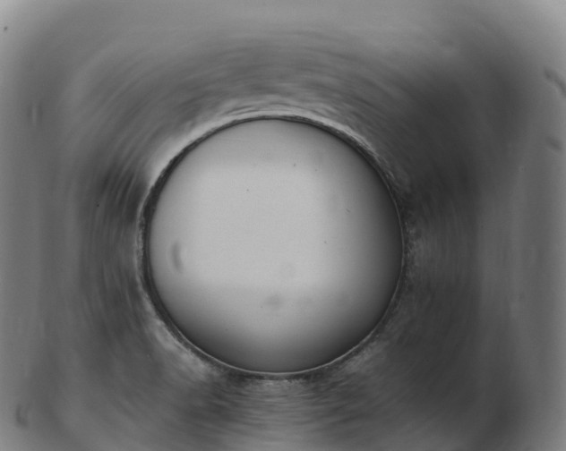 X0000103331518200809121159