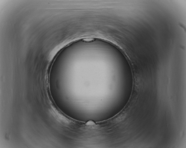 X0000103331519200809121159