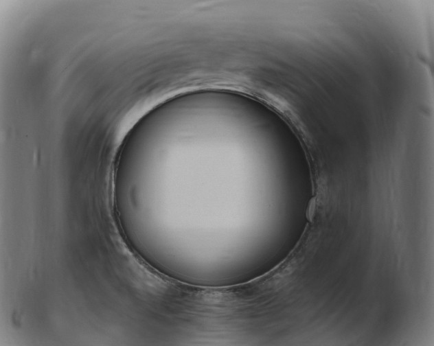 X0000103331520200809121159