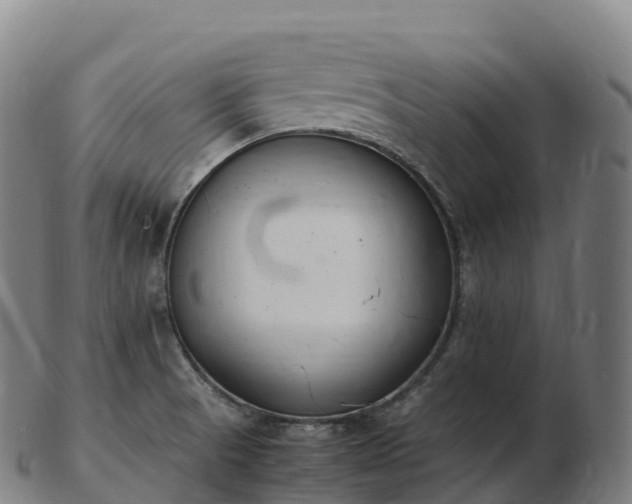 X0000103331521200809121159