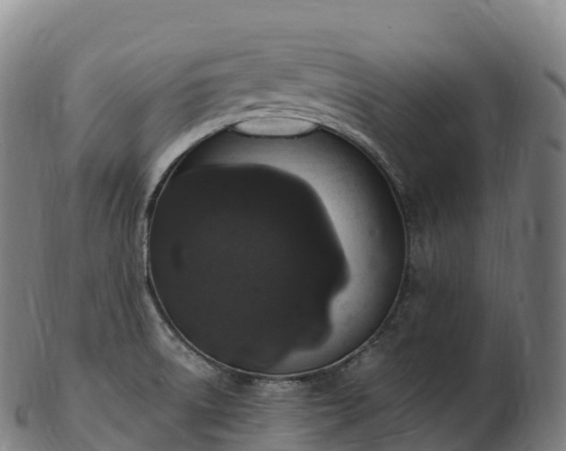 X0000103331522200809121159