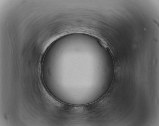 X0000103331523200809121159