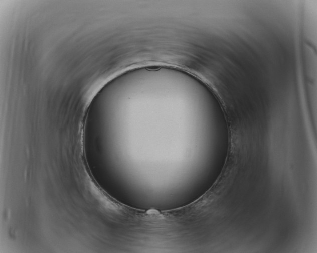 X0000103331524200809121159