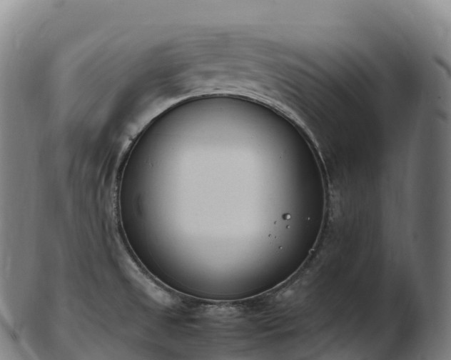 X0000103331525200809121159