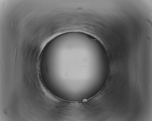 X0000103331526200809121159