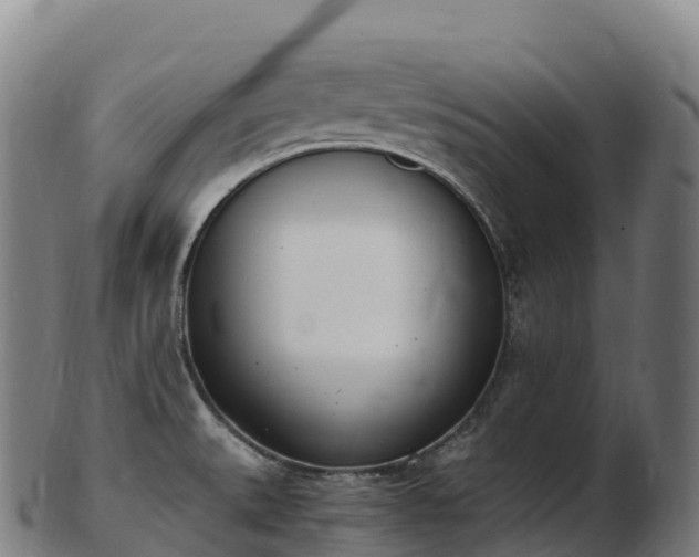 X0000103331527200809121159